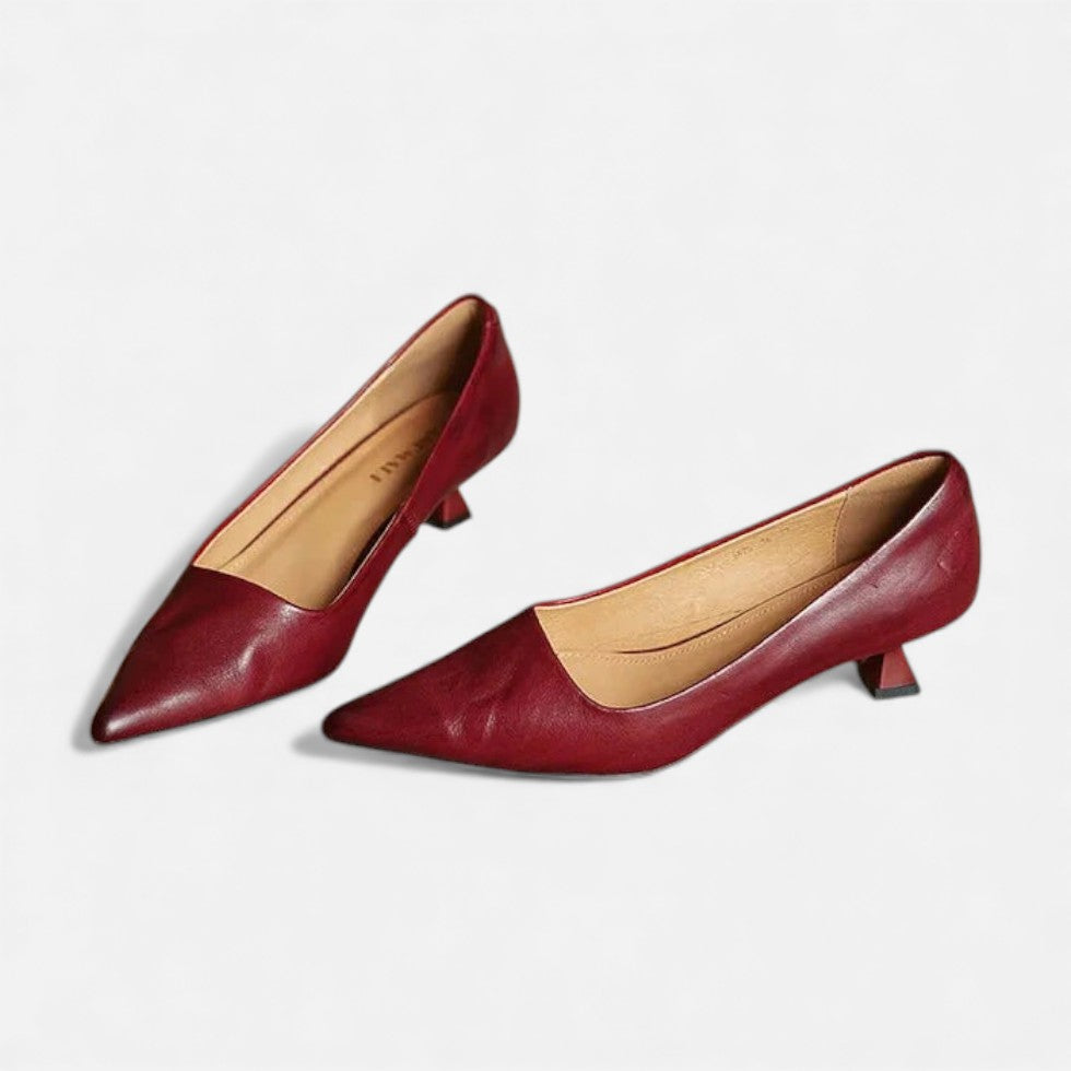 Lavinia | Silver Low Heel Pointed Pumps