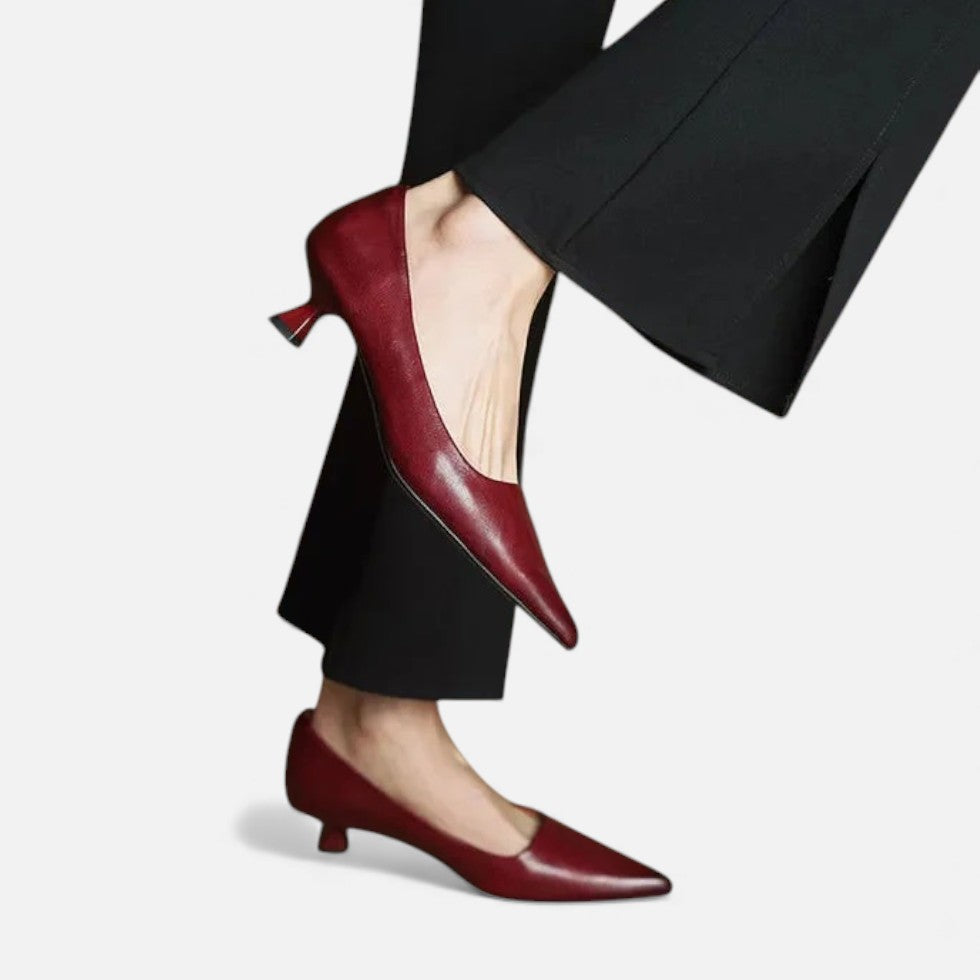 Lavinia | Silver Low Heel Pointed Pumps