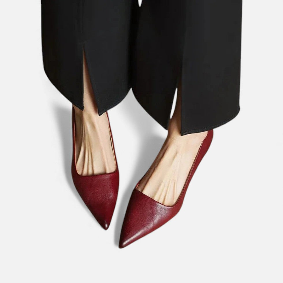 Lavinia | Silver Low Heel Pointed Pumps