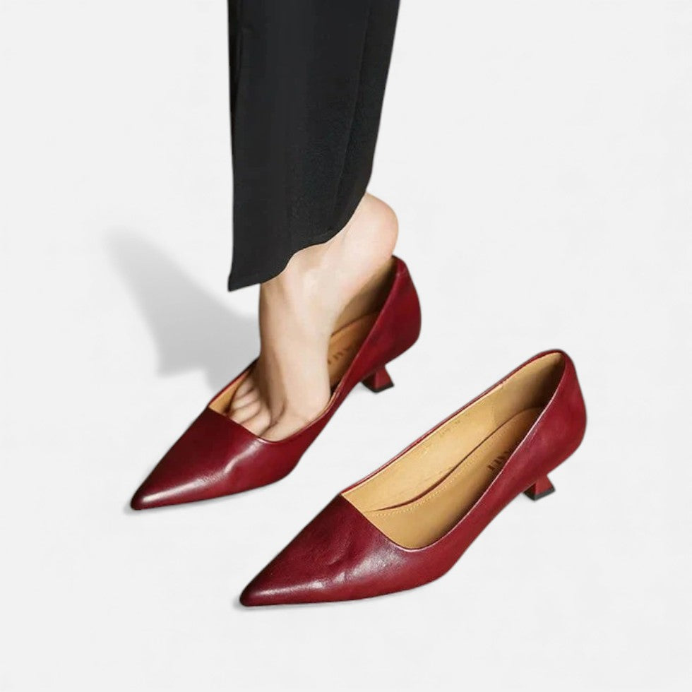 Lavinia | Silver Low Heel Pointed Pumps